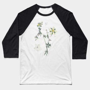 Wild herbs Baseball T-Shirt